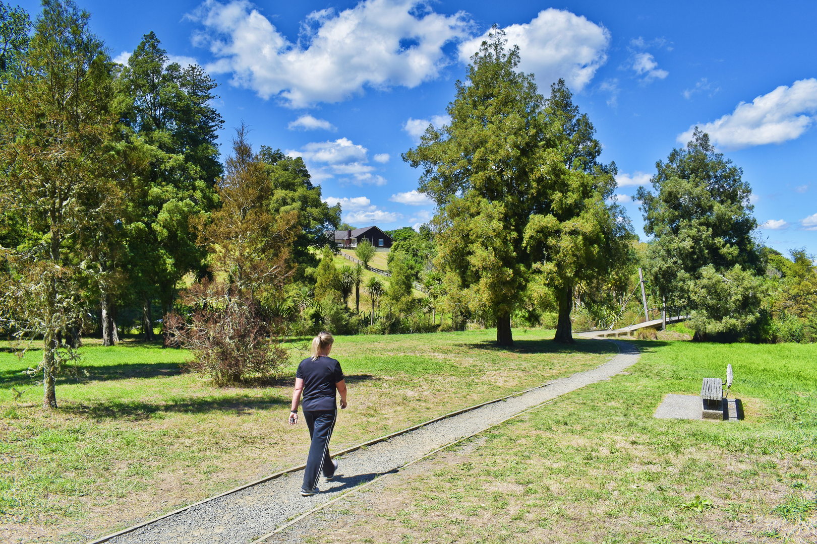 An image depicting the trail Clevedon Reserve and Kimtons Road Track and its surrounding area.