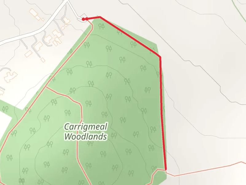 Carrigmeal Woodlands Loops - Sheep's Walk Trail