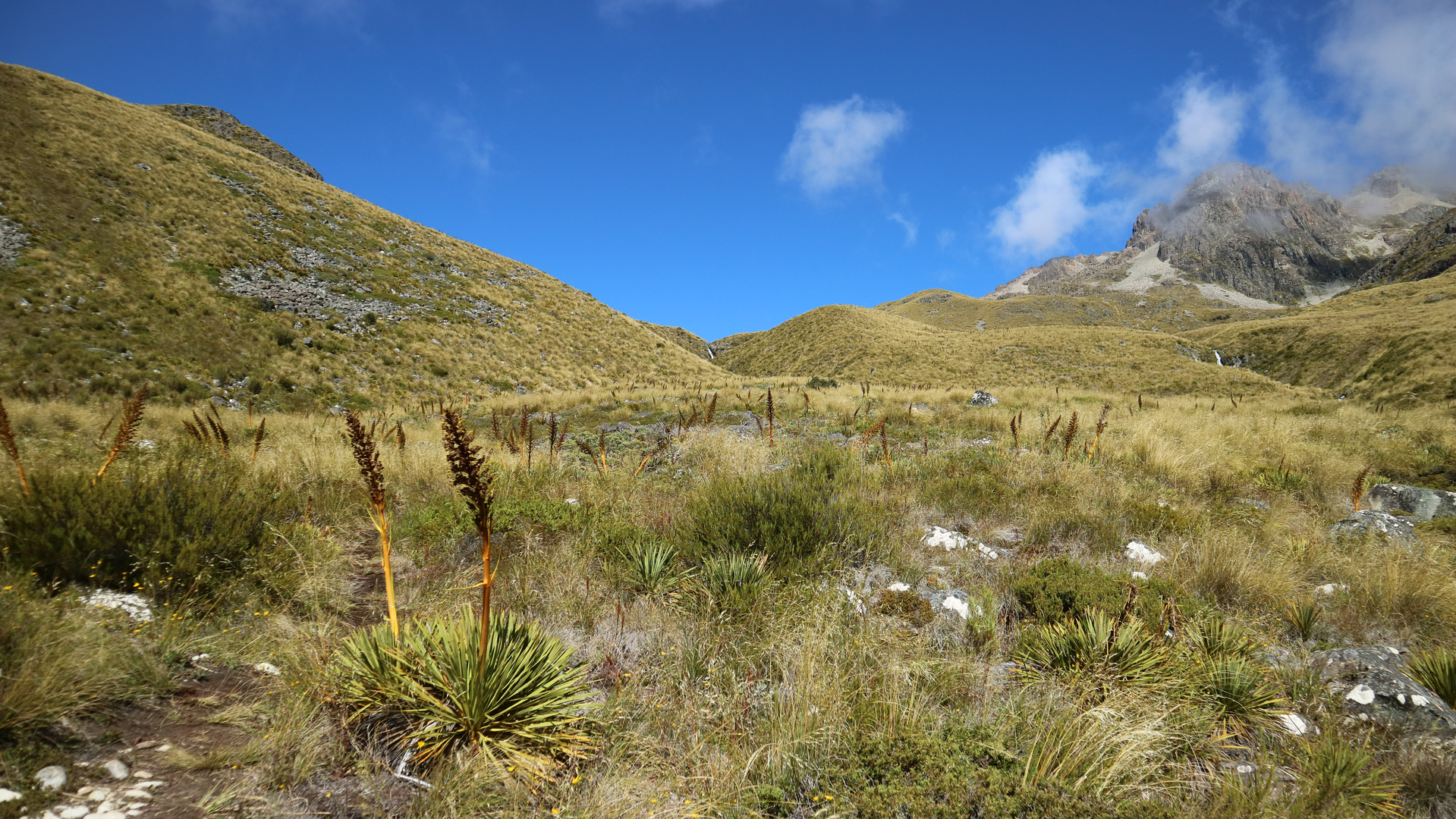 An image depicting the trail East Ahuriri Track and its surrounding area.
