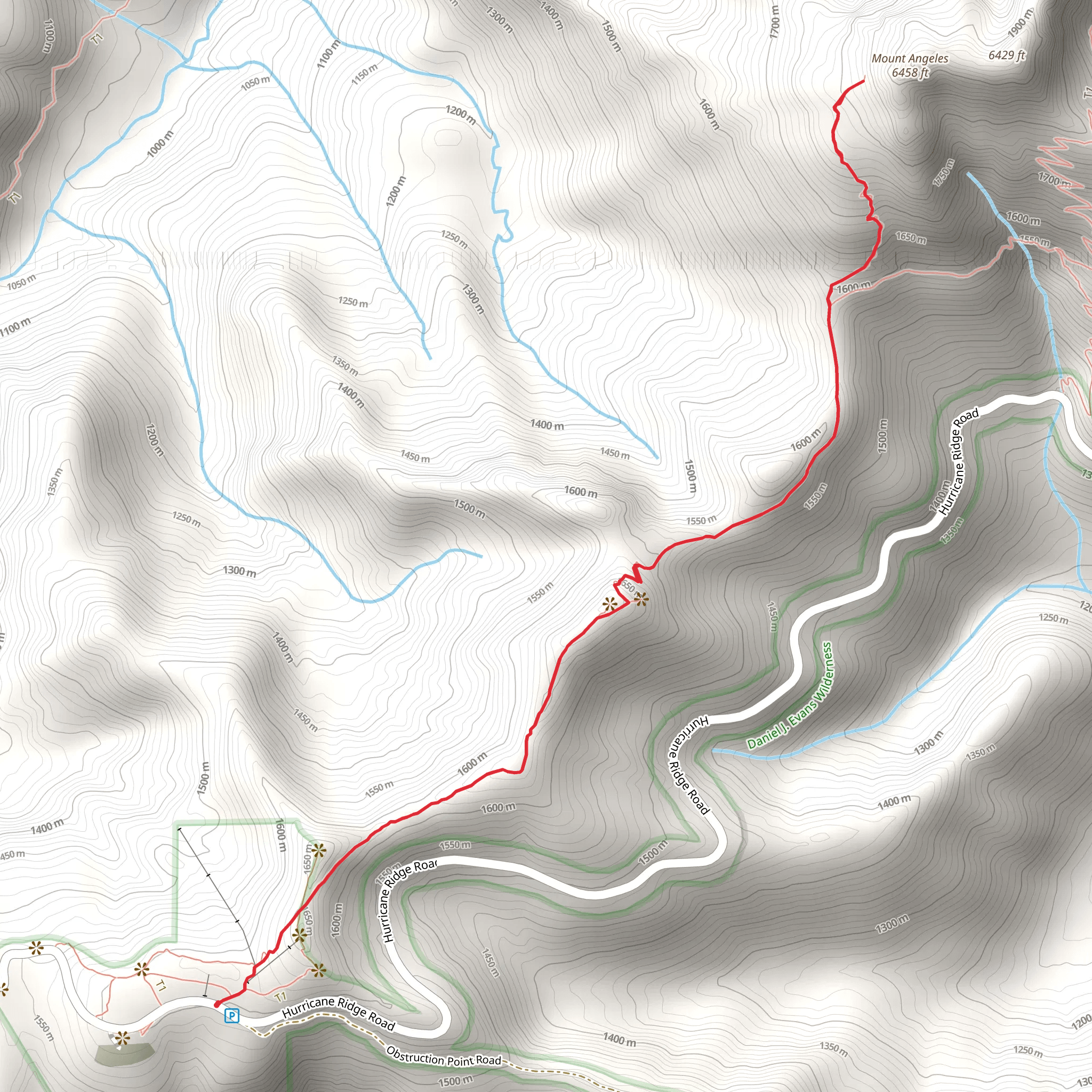 Mount Angeles Trail mobile static map