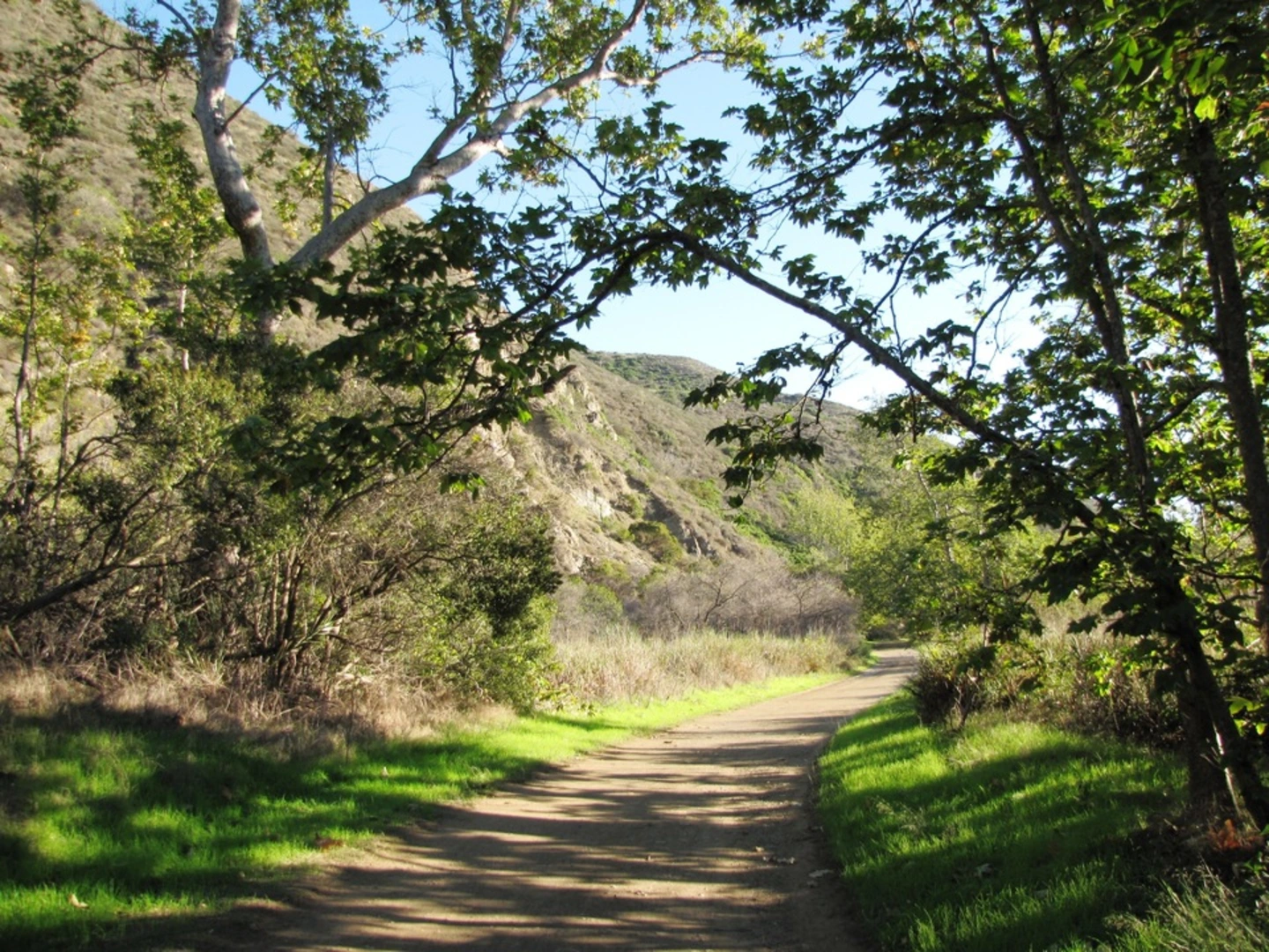 An image depicting the trail Sycamore Canyon Trail and its surrounding area.