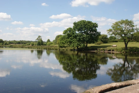 Wyndley Wood, Hill Hurst and Keeper's Pool Loop
