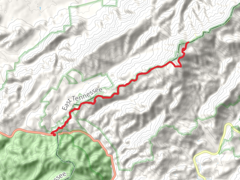 Appalachian Trail from Allen Gap
