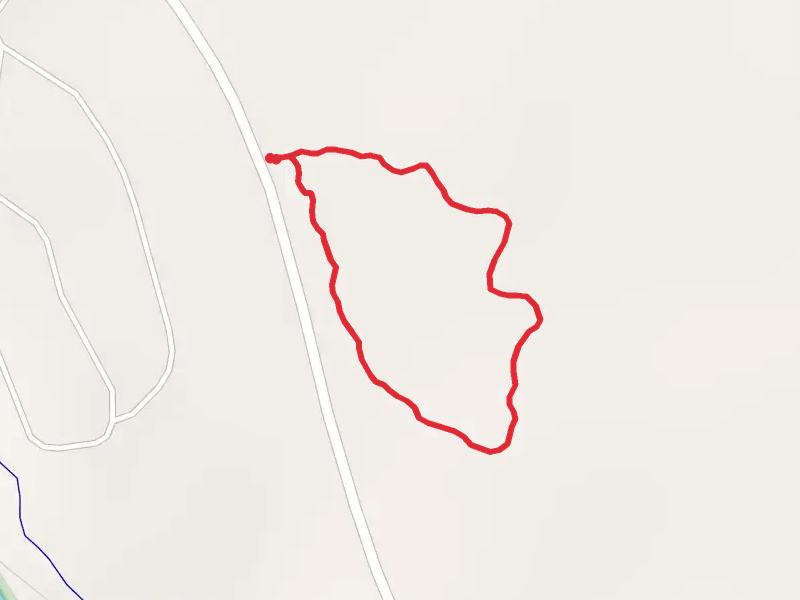 Wild Flower Walking Loop Path
