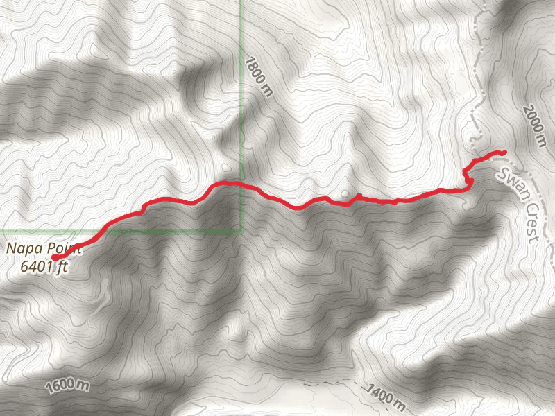Napa Lookout Trail