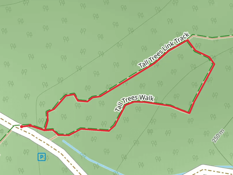 Tall Trees Trail