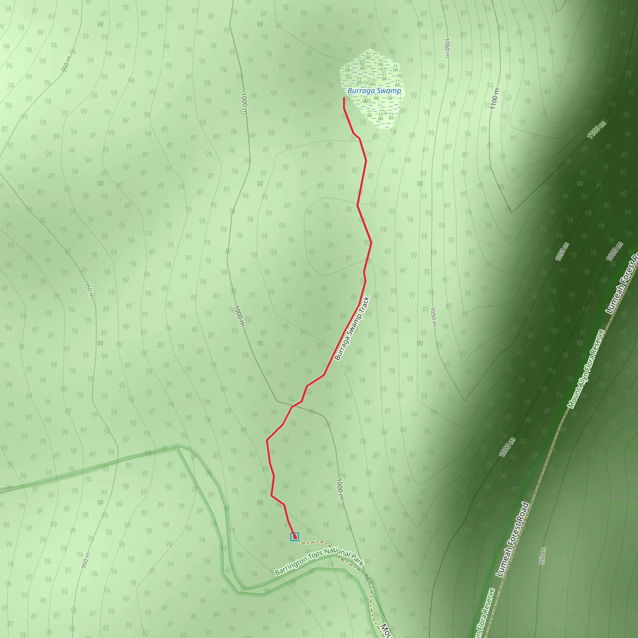 Burraga Swamp Track mobile static map