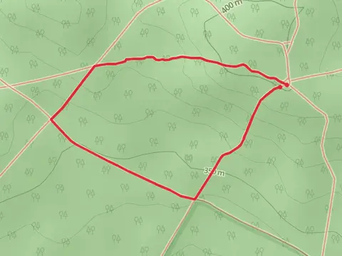 Lol Gray Loop