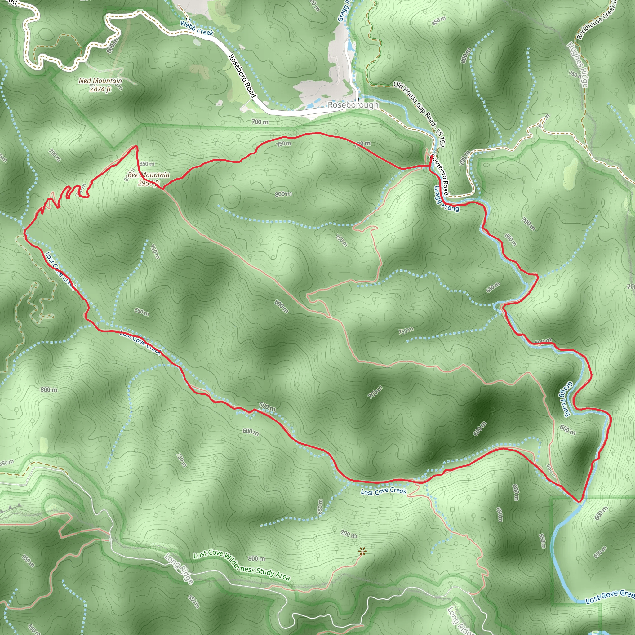 Bee Mountain, Lost Cove Loop Trail mobile static map
