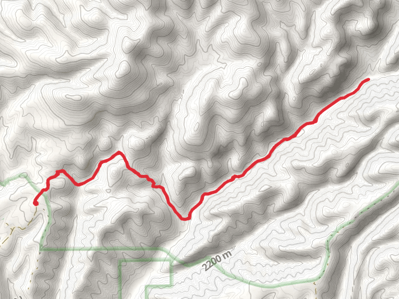 Mimbres River Trail