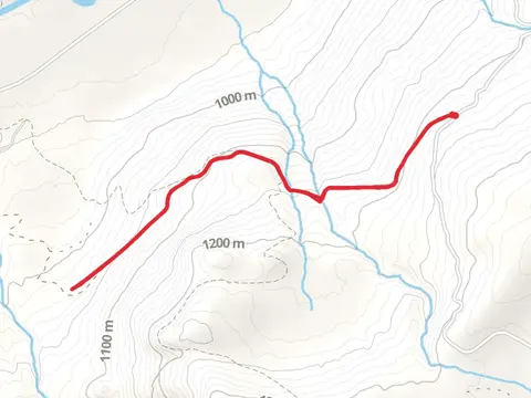 Wesley Creek Trail