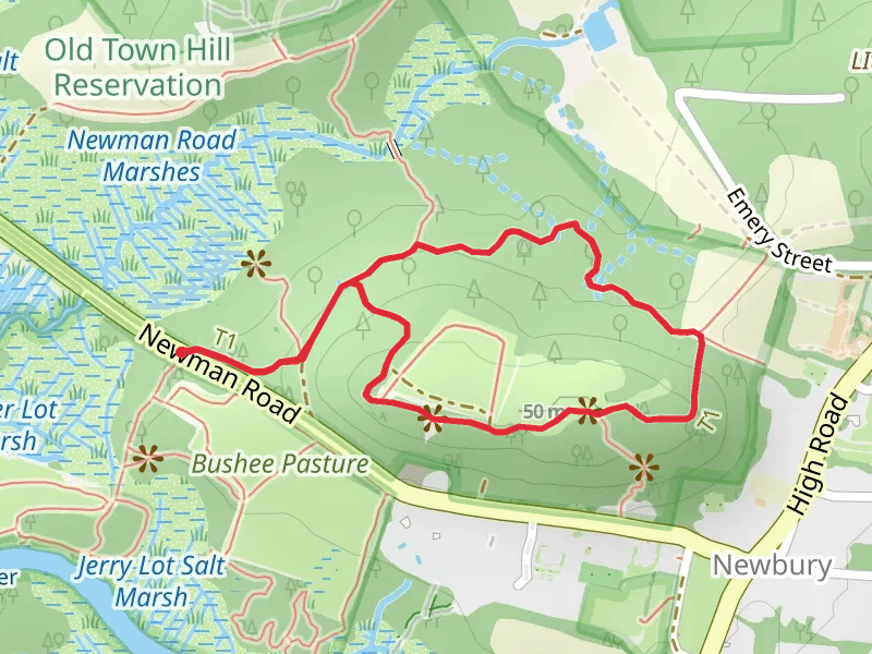 Evergreen Plantation - Old Town Hill Loop