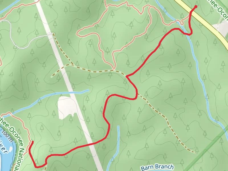 Ocmulgee River via Hitchiti Trail