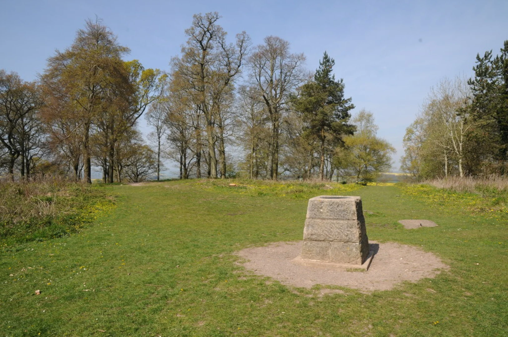 An image depicting the trail Badbury Rings Loop and its surrounding area.