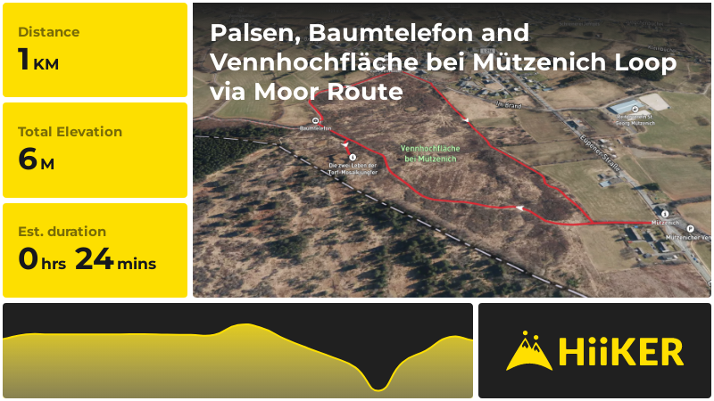 Palsen, Baumtelefon and Vennhochfläche bei Mützenich Loop via Moor