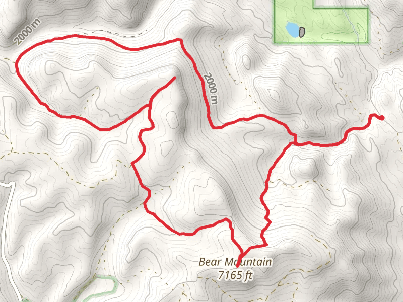 Bear Mountain Basin and Ditch Creek Loop