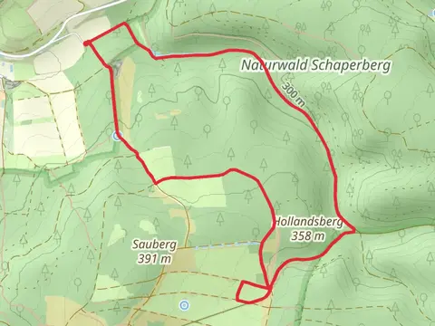 Buchennaturwald Mit Harzblick and Alte Kulturlandschaften