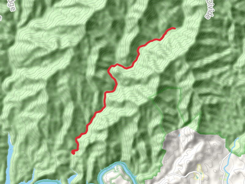 Lower Nolan Creek via BMT