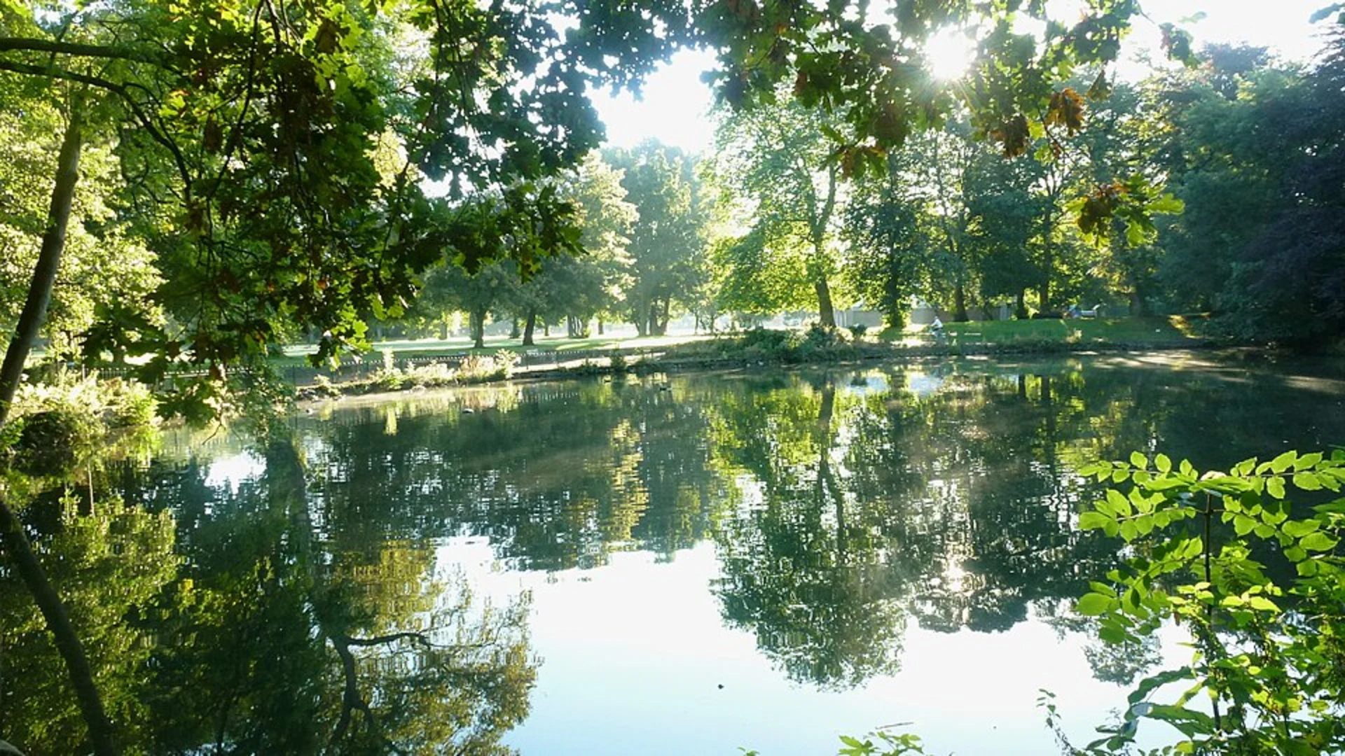 An image depicting the trail Alexandra Park Loop and its surrounding area.