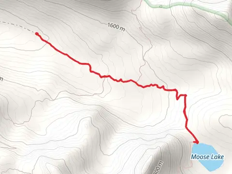 Moose Lake Trail