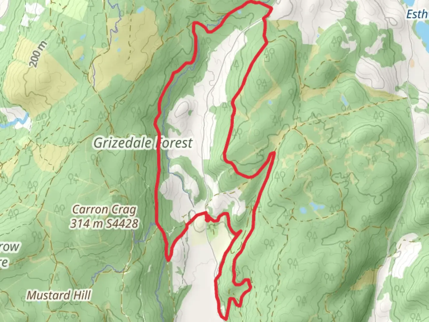 An image depicting the trail Grizedale Circular Path and its surrounding area.