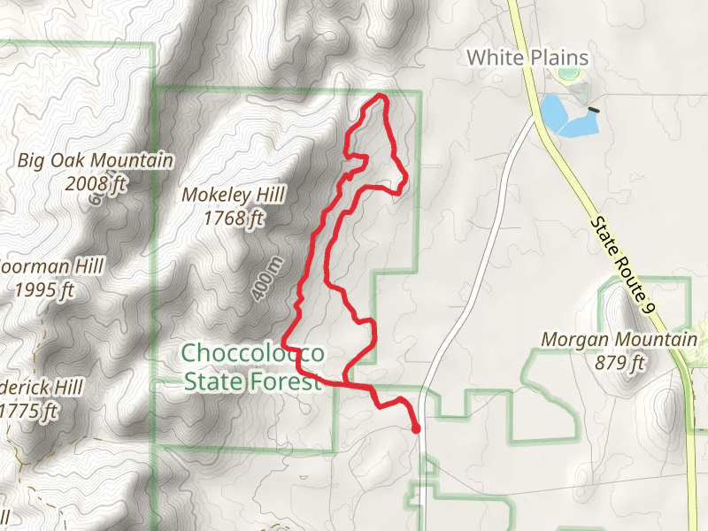 Iron Legs Loop