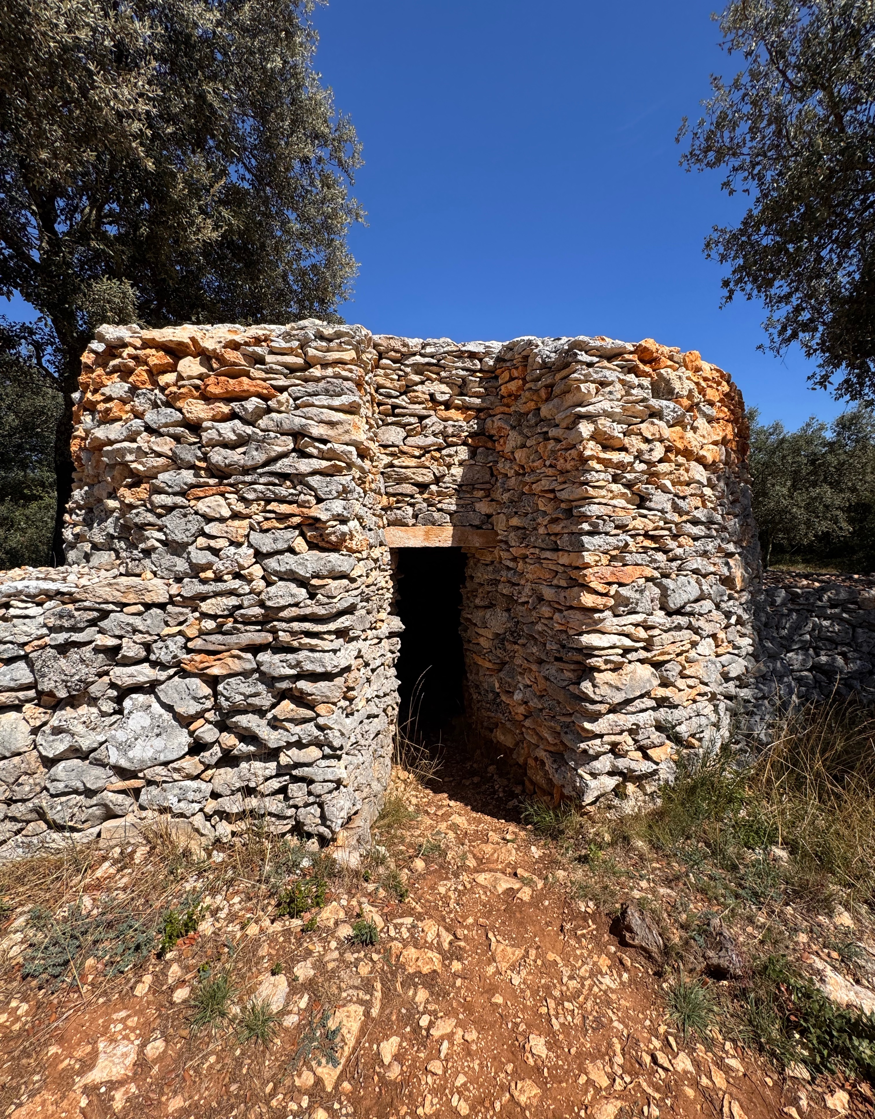 A map preview of the recording Hike from Mas Tinel.