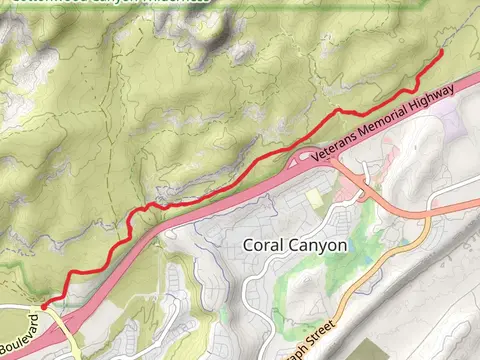 Grapevine Trail and Prospector Trail