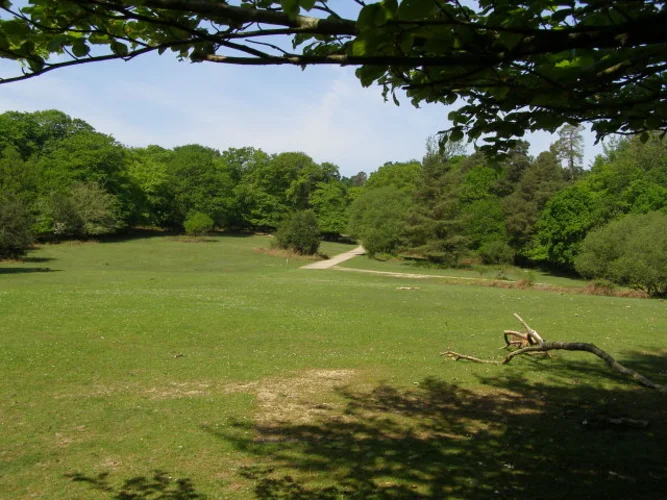 Salisbury Trench and Castle Malwood Walk