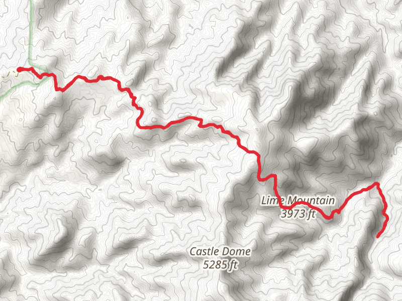 Reavis Ranch Trail Out and Back