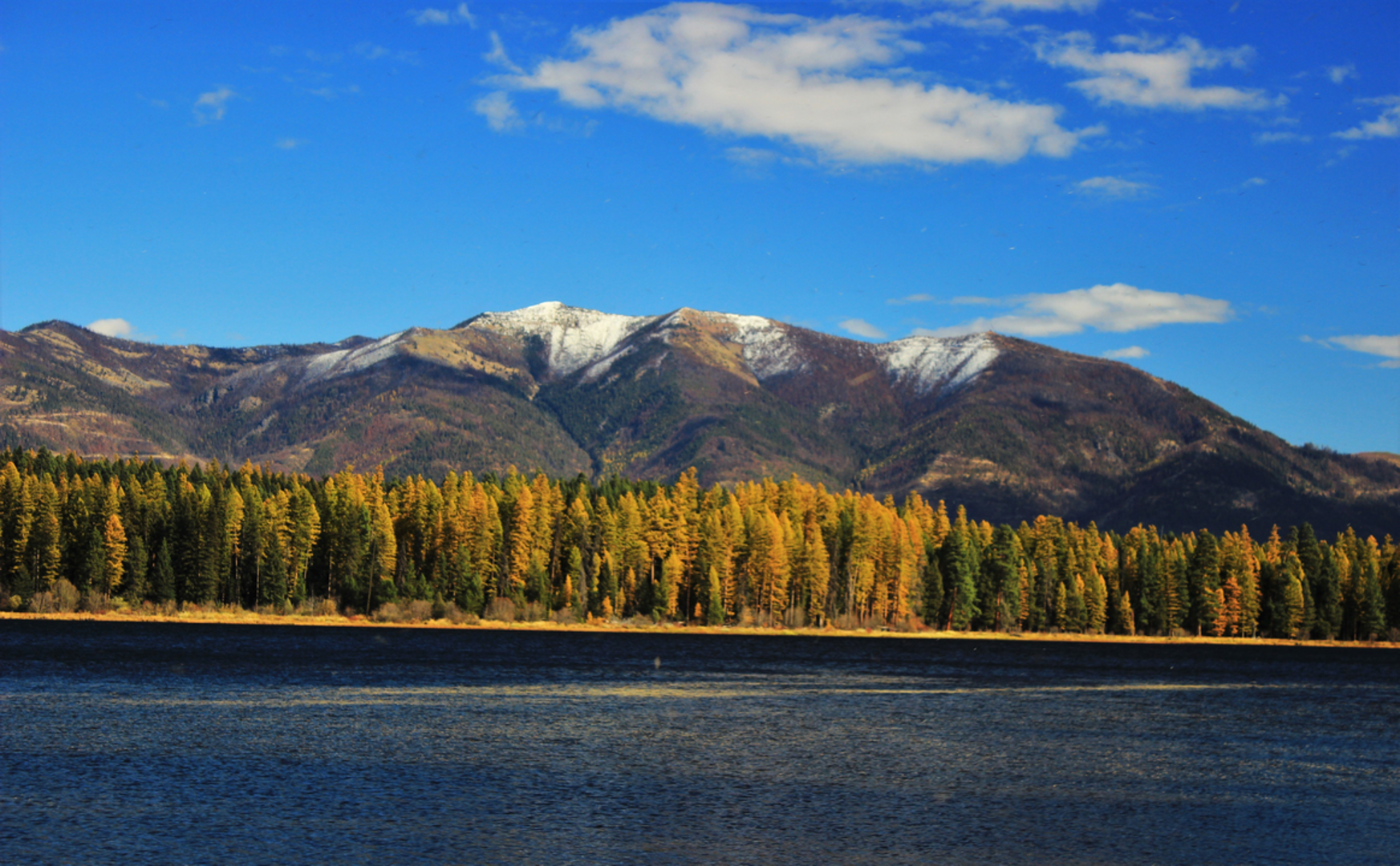 An image depicting the trail Rice Ridge Trail and its surrounding area.