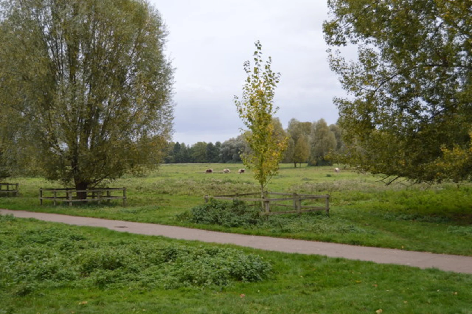 An image depicting the trail Stourbridge Common and Ditton Meadows and its surrounding area.