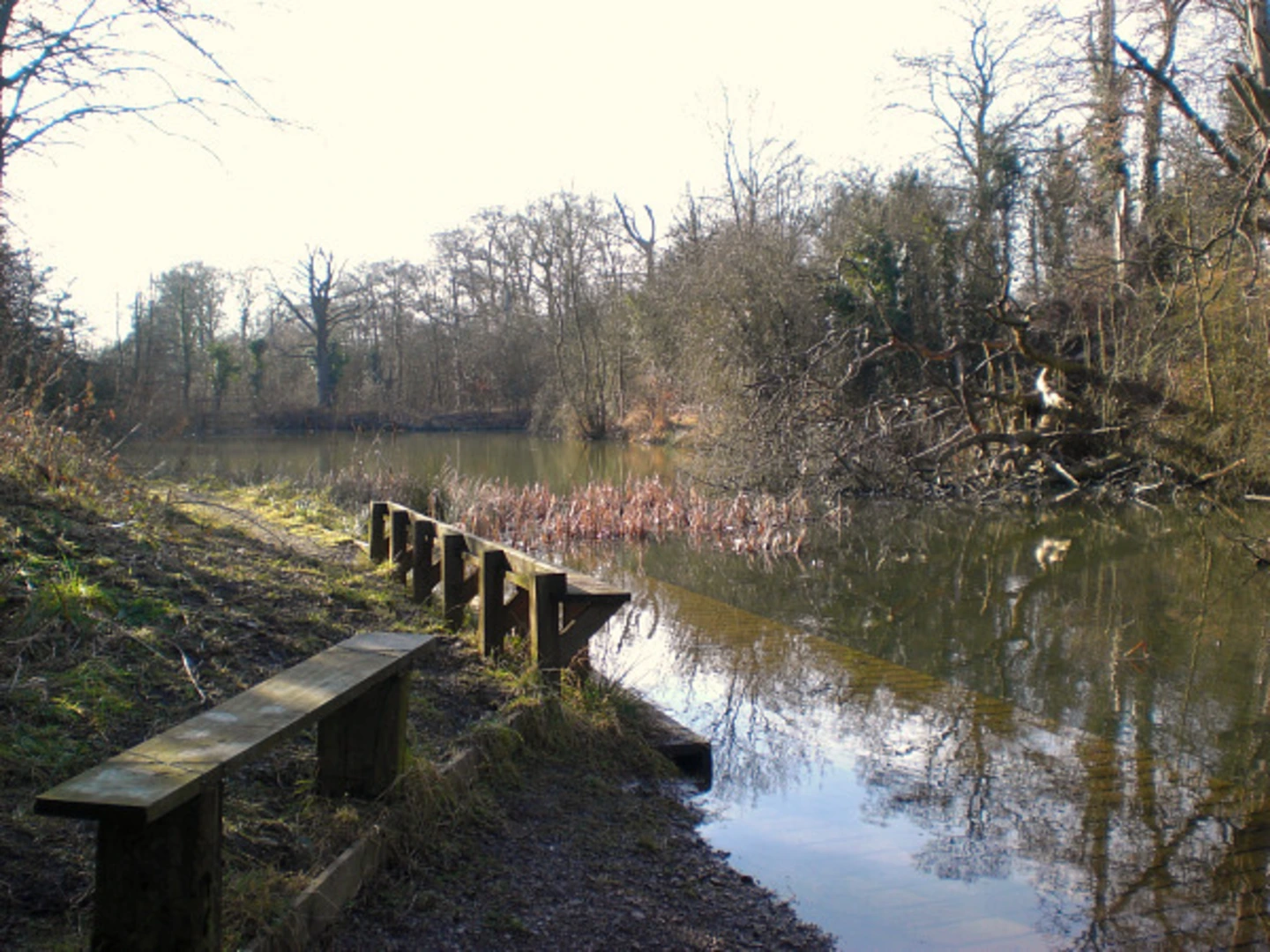 An image depicting the trail Park Lime Pits Loop and its surrounding area.
