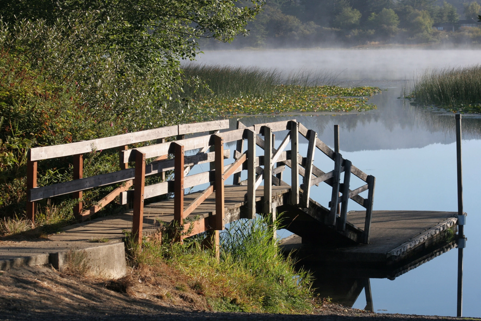 An image depicting the trail Sutton Lake Trail and its surrounding area.