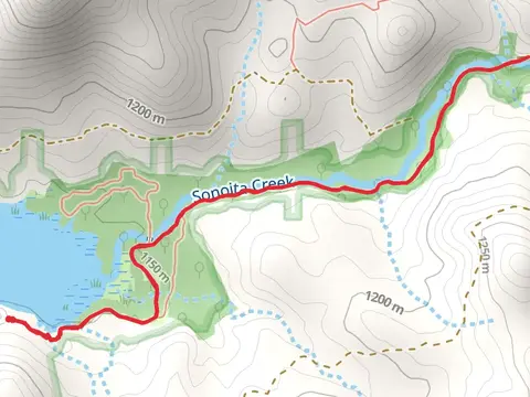 Sonoita Creek Trail