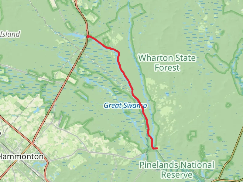 Mullica River Road Walk