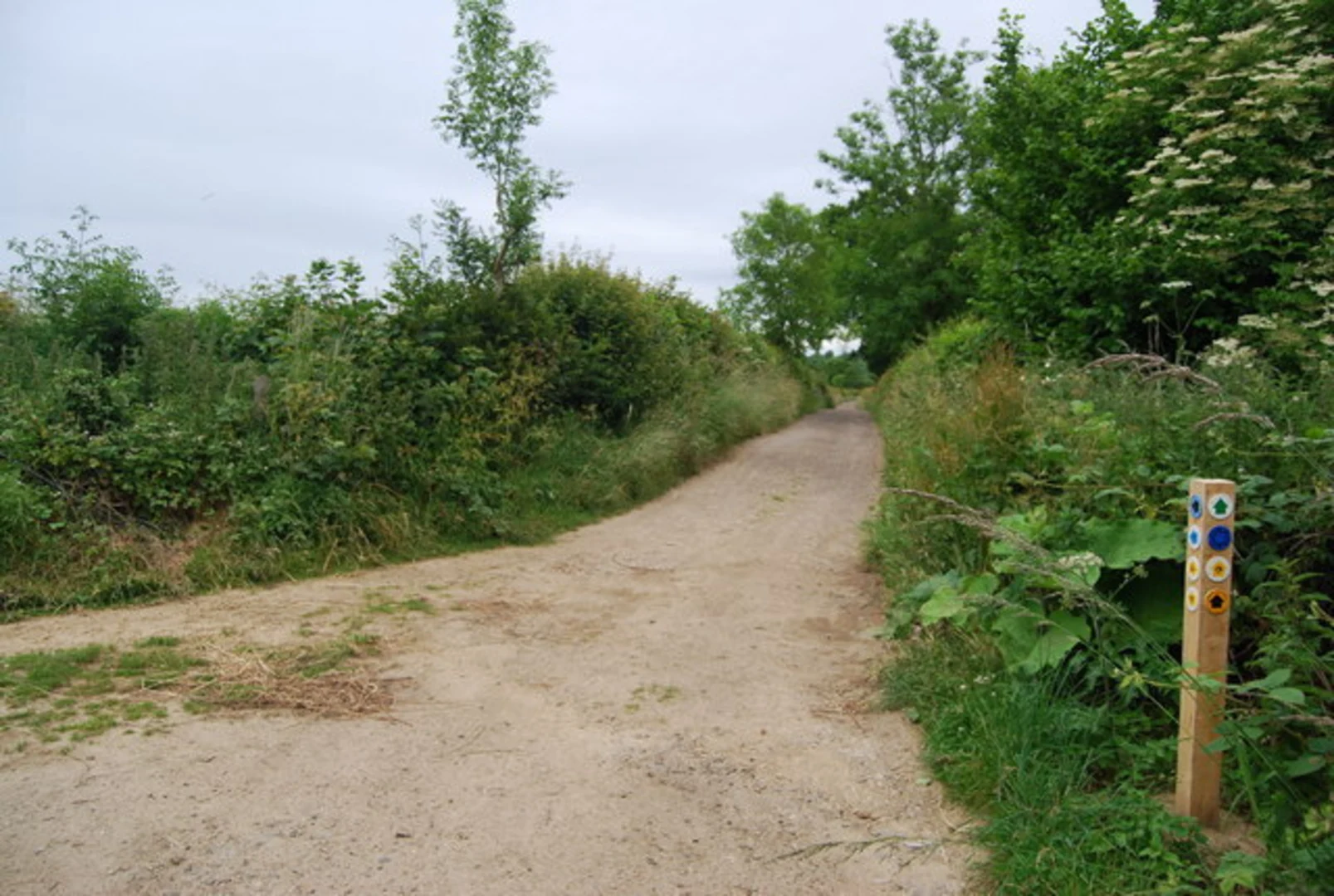 An image depicting the trail Igtham Mote and its surrounding area.