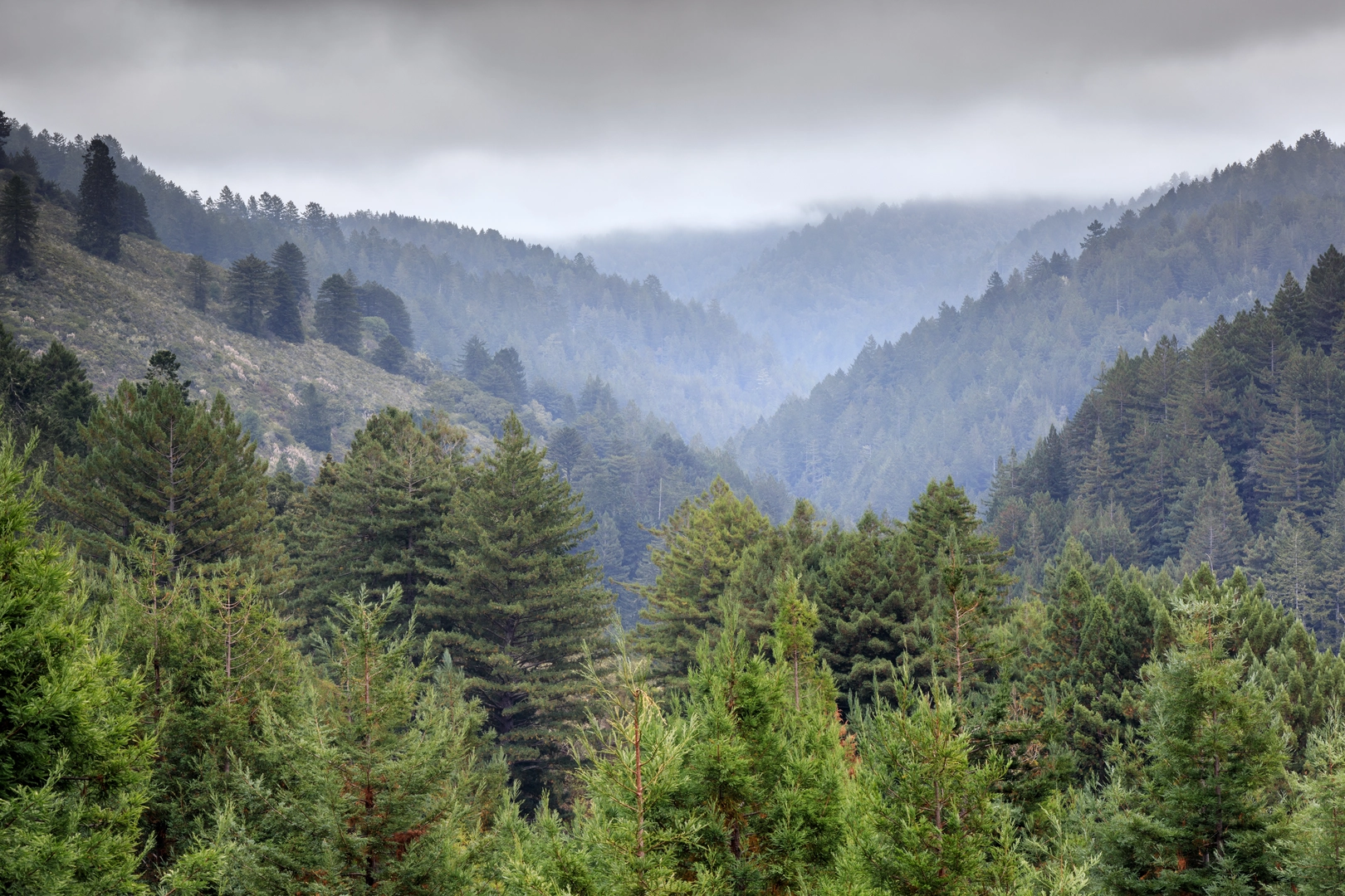An image depicting the trail North Ridge Trail and its surrounding area.