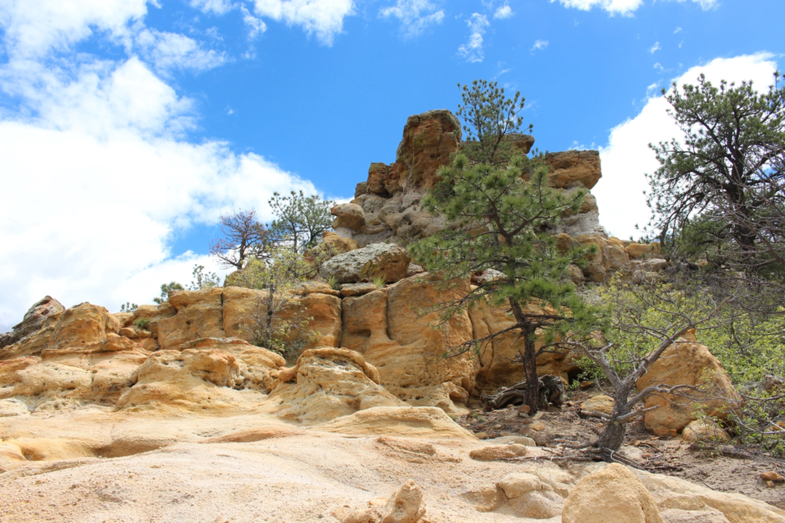An image depicting the trail Palmer Trail - Section 16 Trail and its surrounding area.