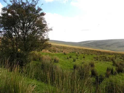 Carnanelly Loop
