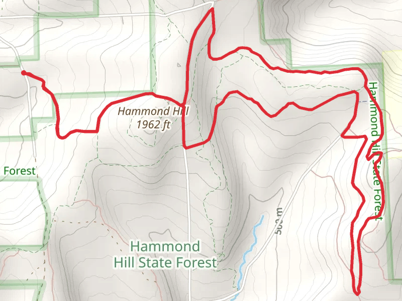 Hammond Hill from Hammond Hill Road Loop