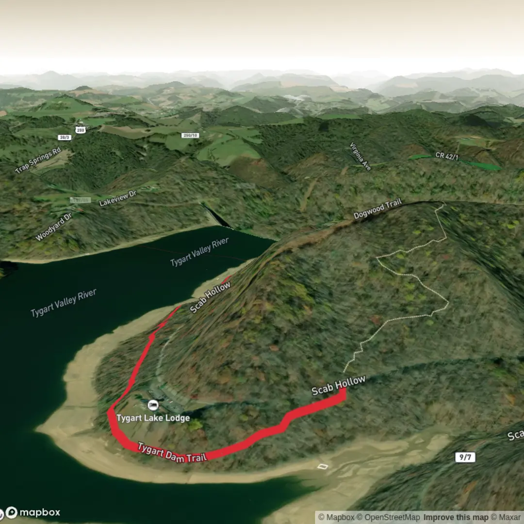 An image depicting the trail Tygart Dam Trail and its surrounding area.