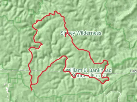 Rippey Wild Hiking, Borden Creek Wild Hiking and Sipsey Wild Hiking Loop Trail