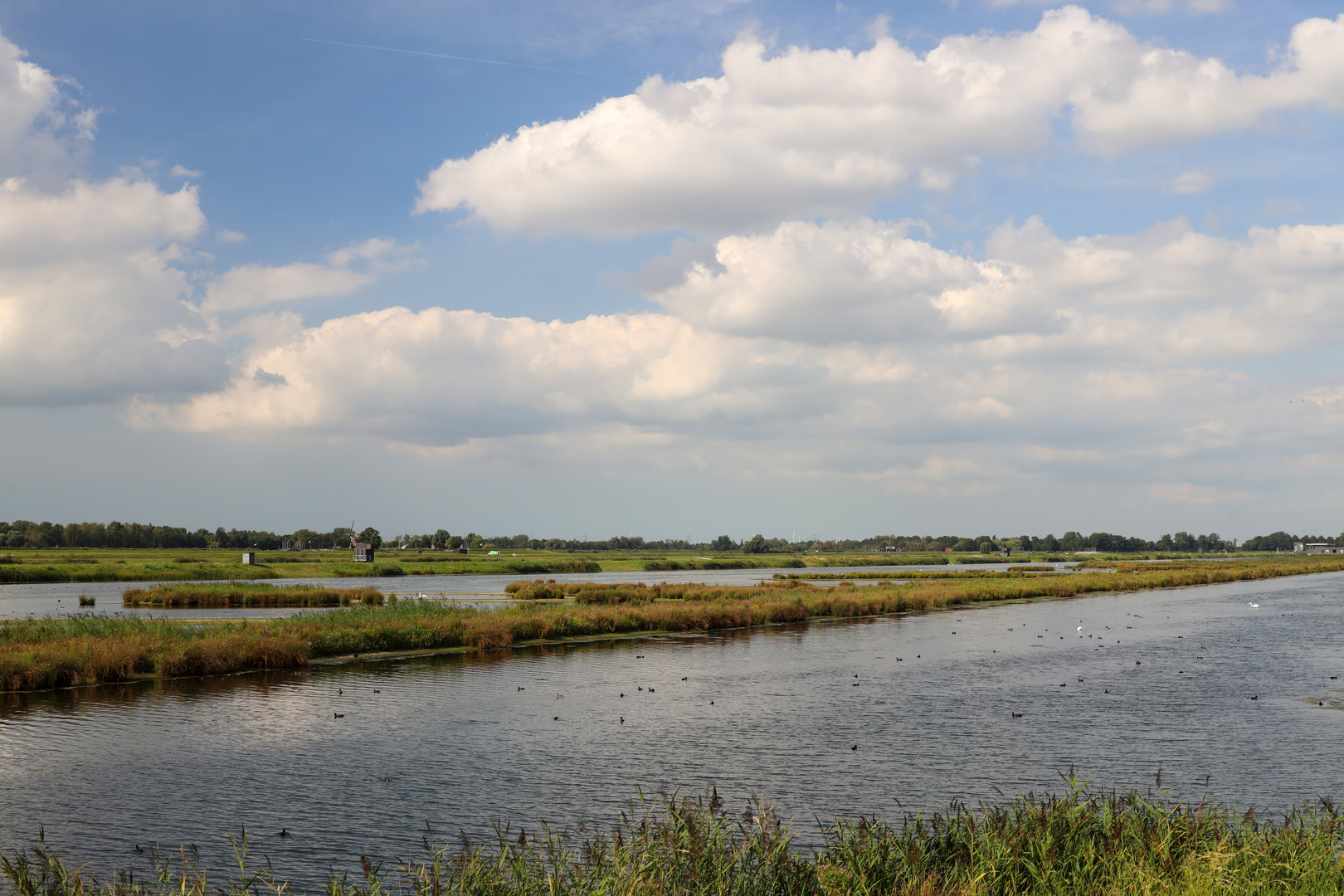 An image depicting the trail Nieuweveensepad, Marterpad and Groendalsweg and its surrounding area.