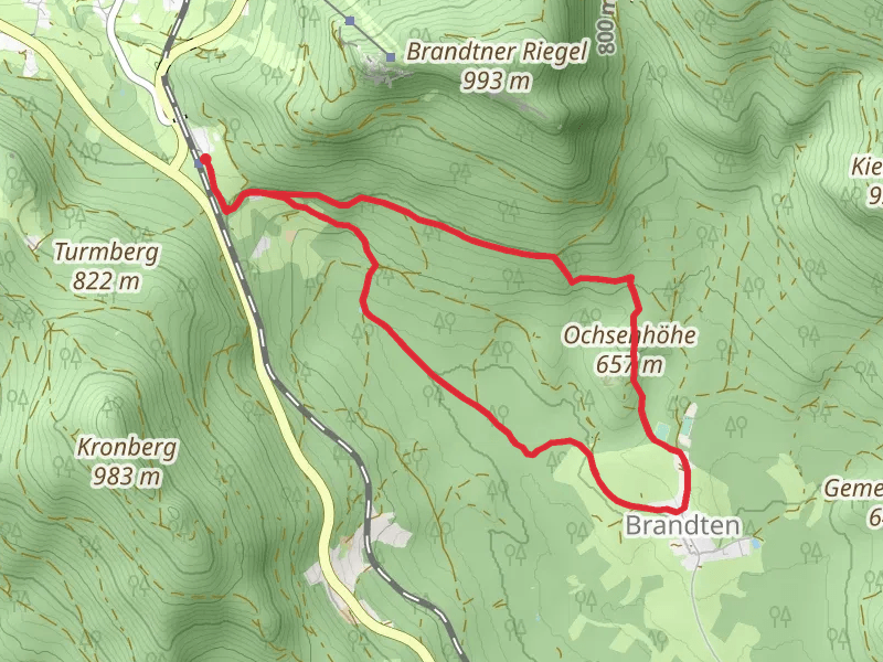 Böhmhof and Ochsenhohe Loop