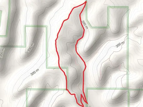 Richard J Dorer Memorial Hardwood State Forest Loop