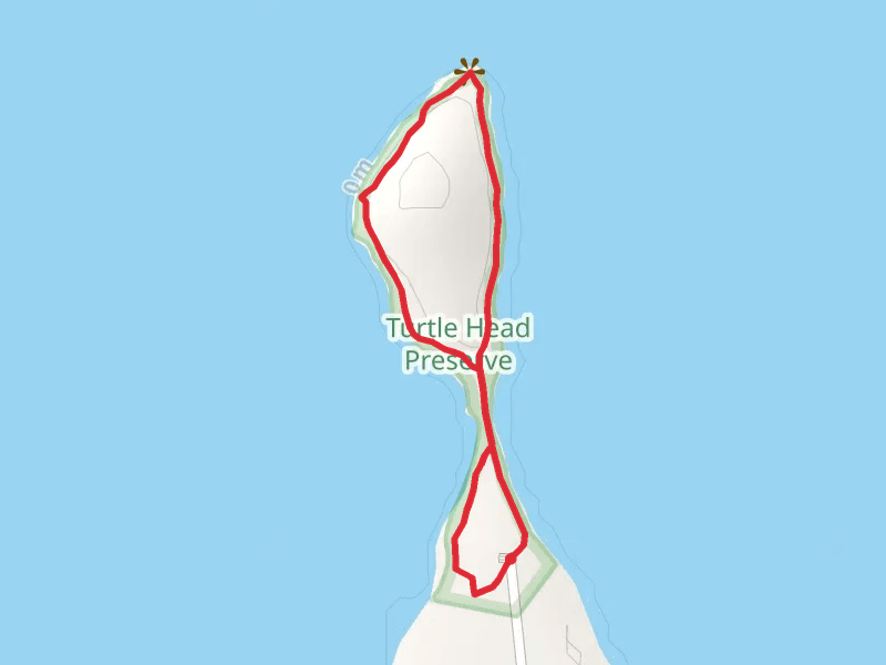 Turtle Head Loop