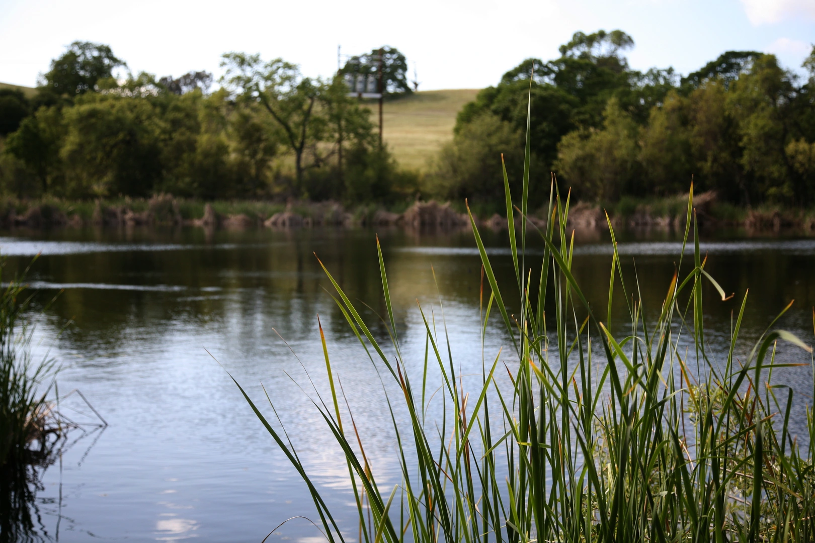 An image depicting the trail Arastradero Lake via Juan Bautista de Anza Trail and its surrounding area.