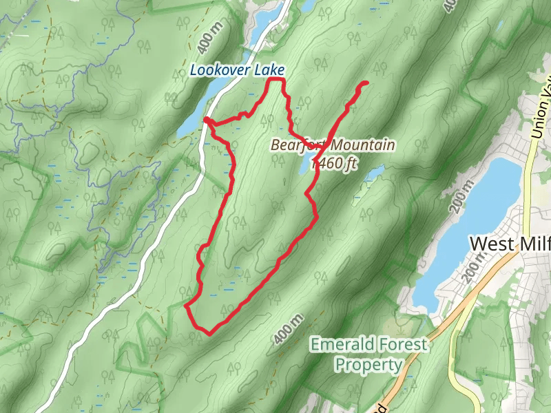 Bearfort Mountain - Terrace Pond Loop