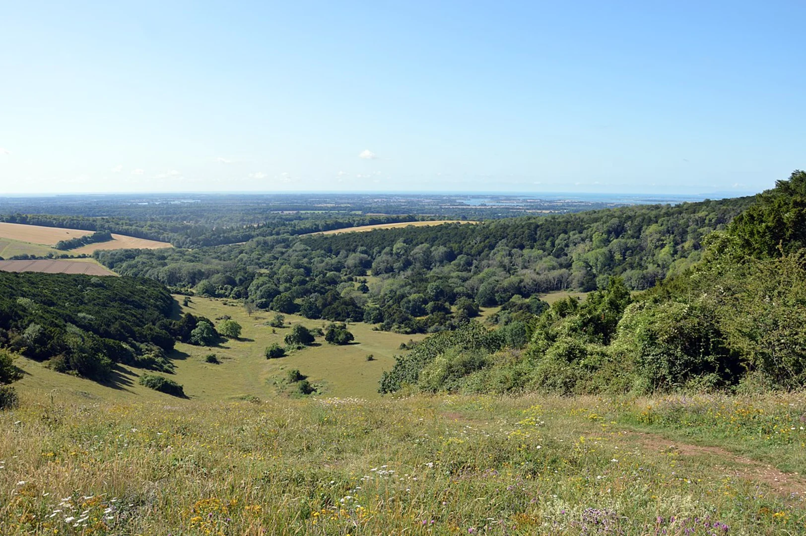 An image depicting the trail Kingley Vale NNR and Tansley Stone and its surrounding area.